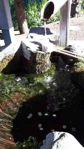 岩内神社の手水