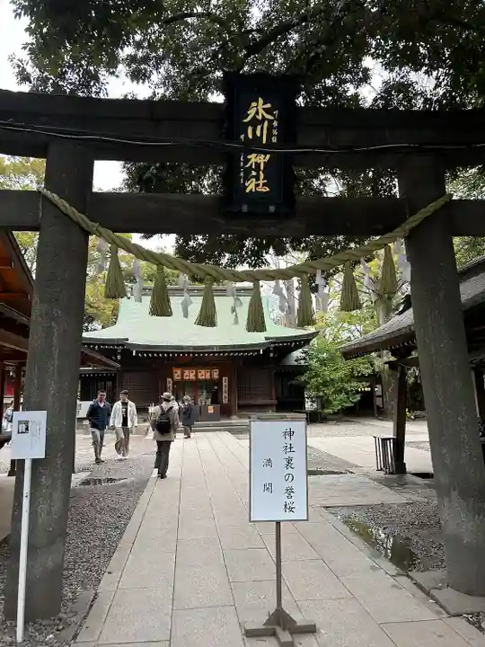 川越氷川神社(埼玉県)
