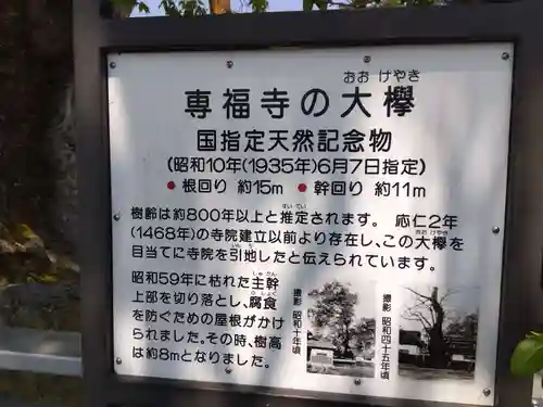 専福寺(福井県)