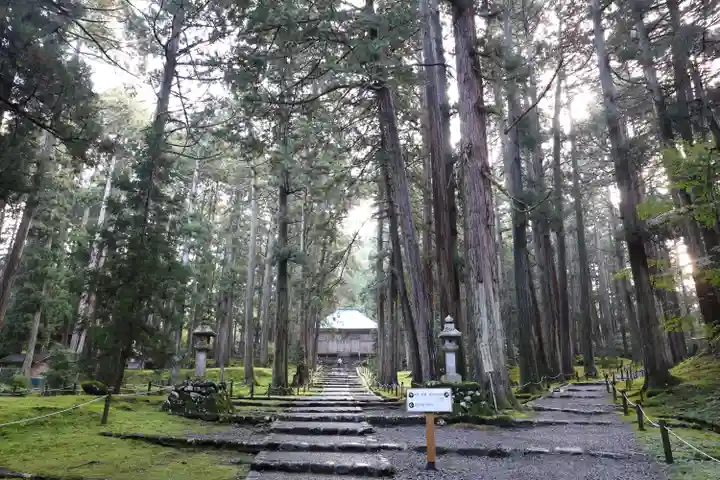 平泉寺白山神社(福井県)