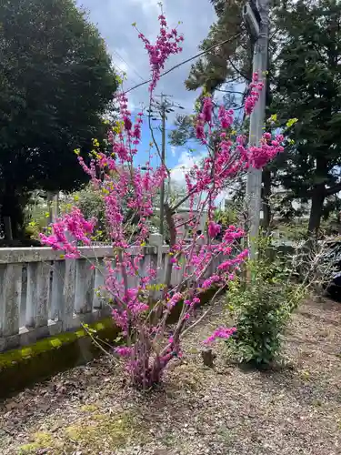 手力雄神社の自然