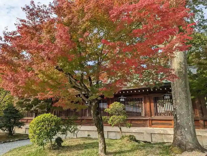 橿原神宮の自然