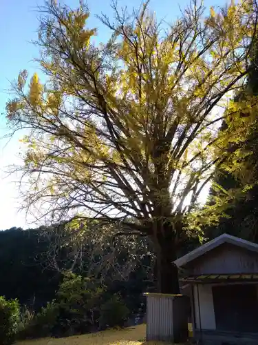 慈徳院(愛知県)