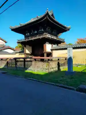 般若寺 ❁﻿コスモス寺❁(奈良県)