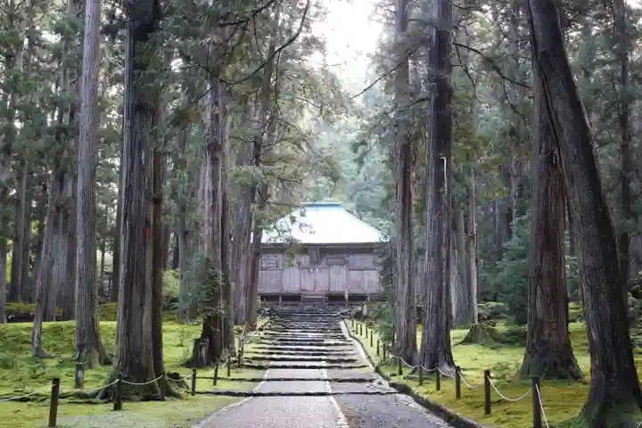 平泉寺白山神社(福井県)