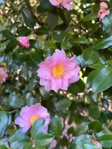 清洲山王宮　日吉神社(愛知県)