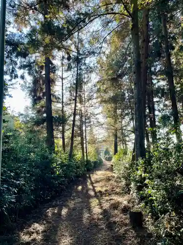 白髭神社(栃木県)