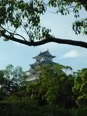 兵庫縣姫路護國神社の周辺