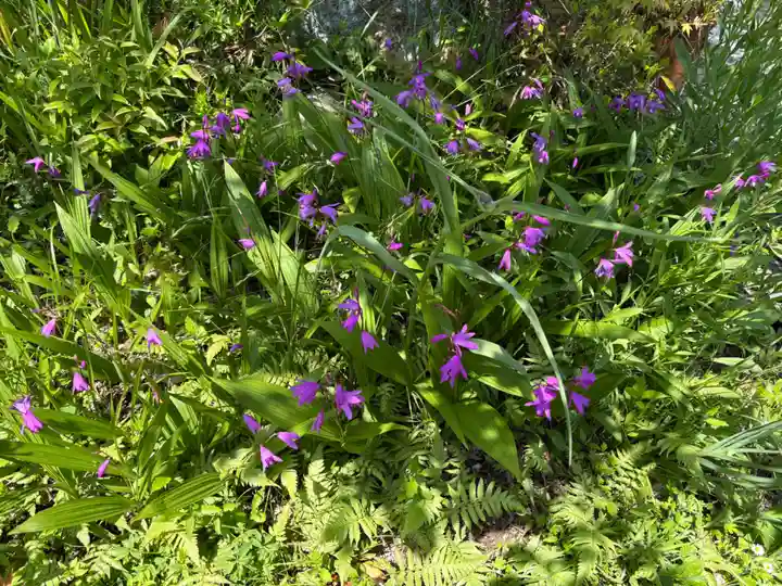 石峯寺(京都府)