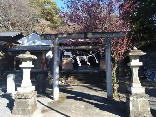 賀茂別雷神社(栃木県)