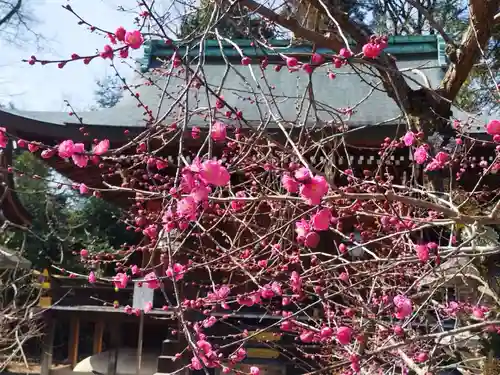 北野天満宮(京都府)