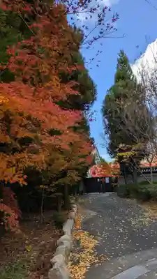 興聖寺(京都府)