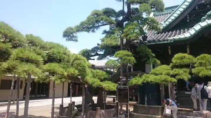 題経寺(柴又帝釈天)の自然