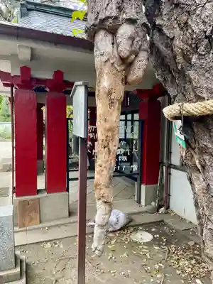 品川寺(東京都)