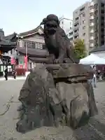 浅草神社の狛犬