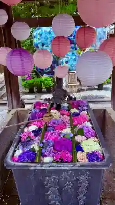 柳谷観音　楊谷寺(京都府)