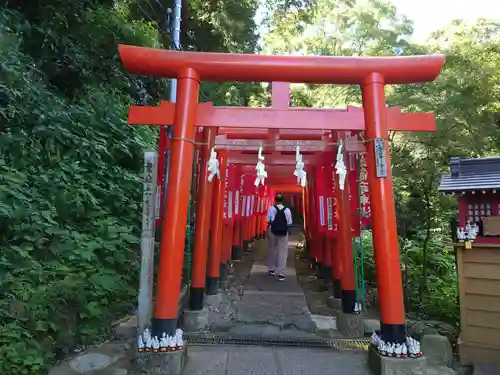 佐助稲荷神社の鳥居