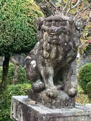 常葉神社の狛犬