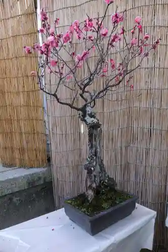 菅原天満宮（菅原神社）のその他建物