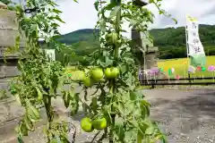 高司神社〜むすびの神の鎮まる社〜の周辺