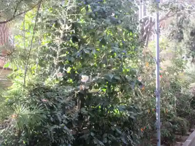 遍照寺(神奈川県)