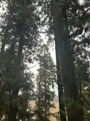 大宮温泉神社(栃木県)