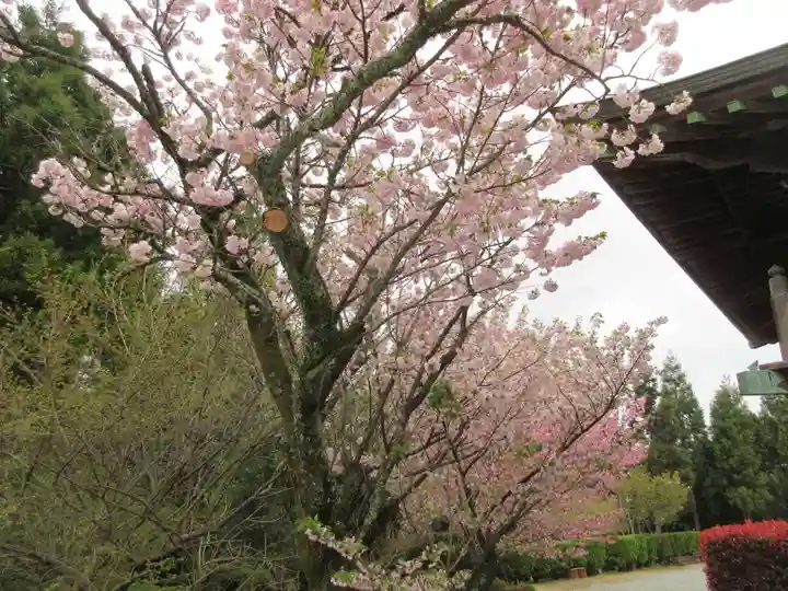 大山寺(徳島県)