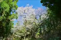 風巻神社奥社(新潟県)