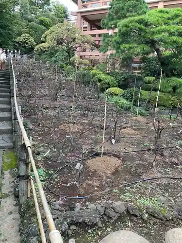 東長谷寺　薬王院(東京都)