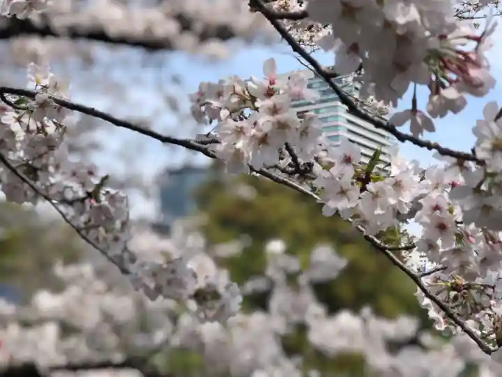靖國神社(東京都)