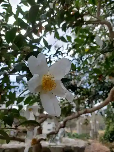 沙沙貴神社の自然