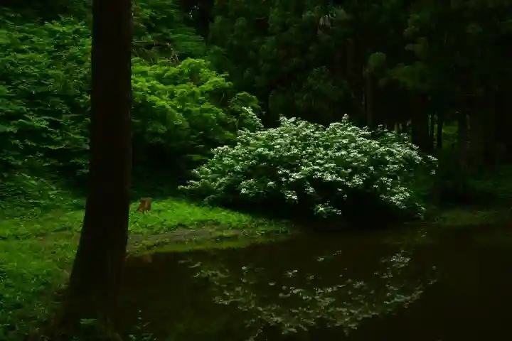 郡殿の池弁財天社(新潟県)
