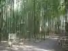 野宮神社の周辺