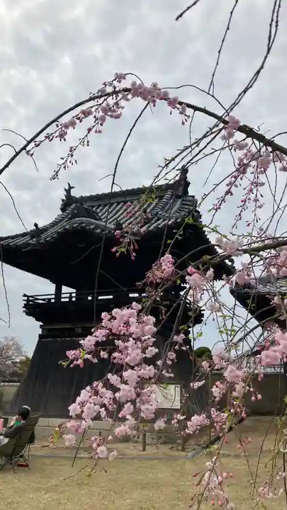 餘慶寺(岡山県)