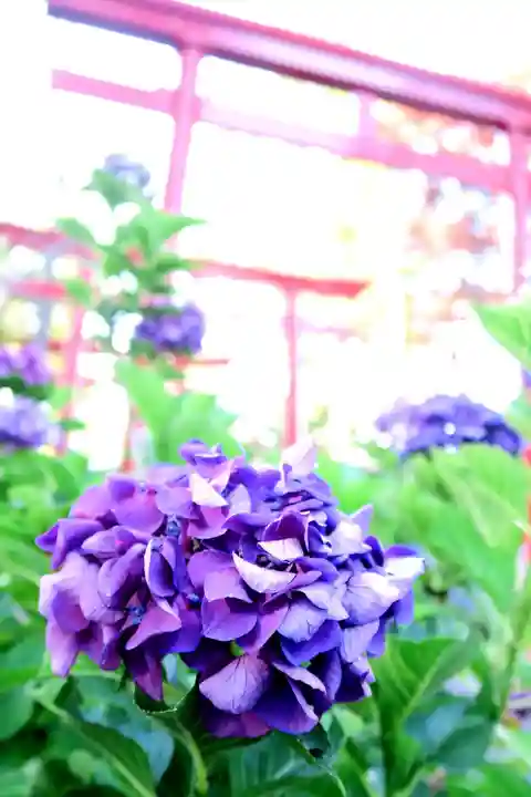 空知神社の自然