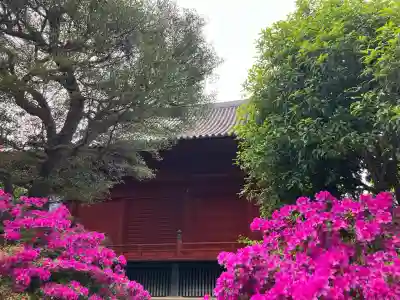 清水観音堂の{uncategorized: "未分類", other: "その他", undefined: "問題あり", building: "その他建物", grave: "お墓", sacred_gate: "鳥居", guardian: "狛犬", statue: "像", buddha: "仏像", history: "歴史", nature: "自然", garden: "庭園", animal: "動物", pagoda: "塔", temizu: "手水舎", mountain_gate: "山門・神門", sanctuary: "本殿・本堂", subordinate: "末社・摂社", art: "芸術", scenery: "景色", jizo: "地蔵", ema: "絵馬", goshuin: "御朱印", omikuji: "おみくじ", items: "授与品その他", amulet: "お守り", goshuincho: "御朱印帳", eats: "食事", festival: "お祭り", votive_dance: "神楽", shichigosan: "七五三参", wedding: "結婚式", experience: "体験その他", initially: "初詣", around: "周辺", anti_infection: "感染症対策"}