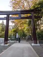 東郷神社の鳥居