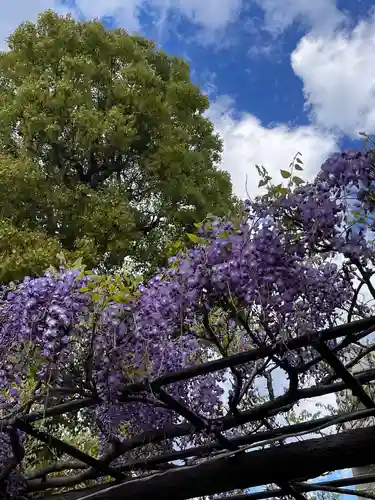 亀戸天神社の庭園