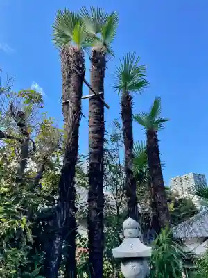 正山寺(東京都)