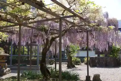 天台宗 五大山 白毫寺(兵庫県)