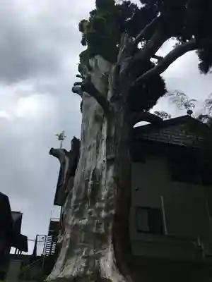 双林寺のその他建物