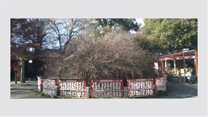 冠稲荷神社(群馬県)