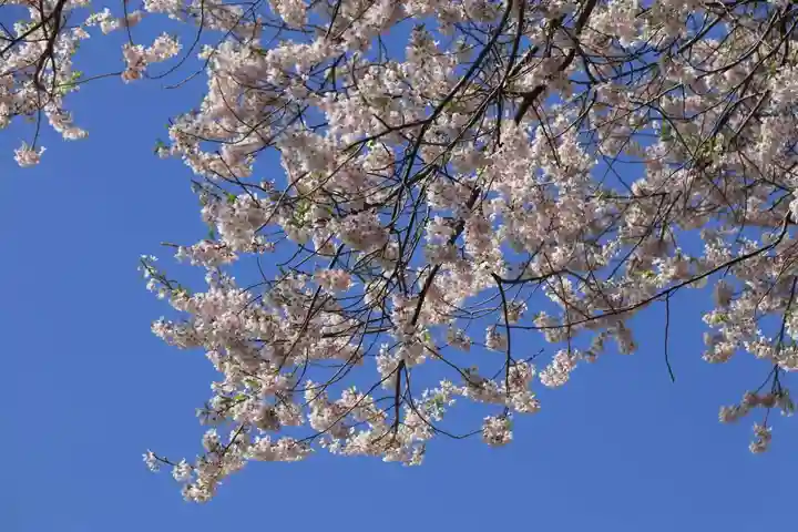 十一面観音堂の自然