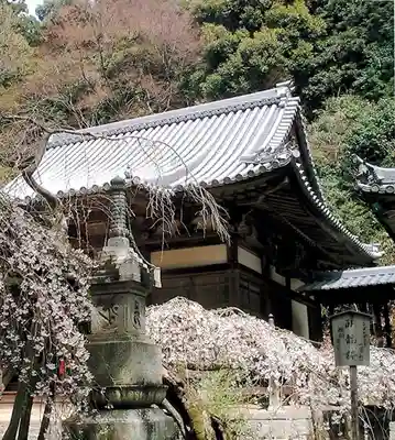 高貴寺のその他建物