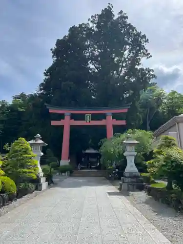 河口浅間神社の鳥居