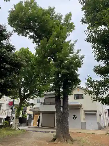 打越天神北野神社の自然
