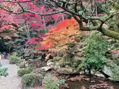 金剛輪寺の庭園