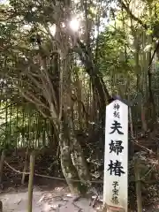 八重垣神社の自然