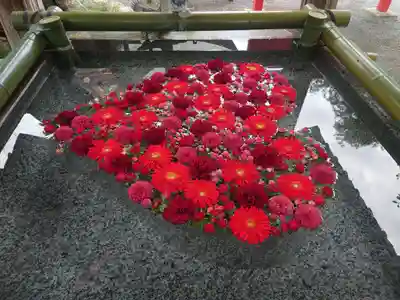 布施弁天 東海寺(千葉県)