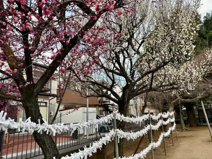 北野八幡神社の{uncategorized: "未分類", other: "その他", undefined: "問題あり", building: "その他建物", grave: "お墓", sacred_gate: "鳥居", guardian: "狛犬", statue: "像", buddha: "仏像", history: "歴史", nature: "自然", garden: "庭園", animal: "動物", pagoda: "塔", temizu: "手水舎", mountain_gate: "山門・神門", sanctuary: "本殿・本堂", subordinate: "末社・摂社", art: "芸術", scenery: "景色", jizo: "地蔵", ema: "絵馬", goshuin: "御朱印", omikuji: "おみくじ", items: "授与品その他", amulet: "お守り", goshuincho: "御朱印帳", eats: "食事", festival: "お祭り", votive_dance: "神楽", shichigosan: "七五三参", wedding: "結婚式", experience: "体験その他", initially: "初詣", around: "周辺", anti_infection: "感染症対策"}